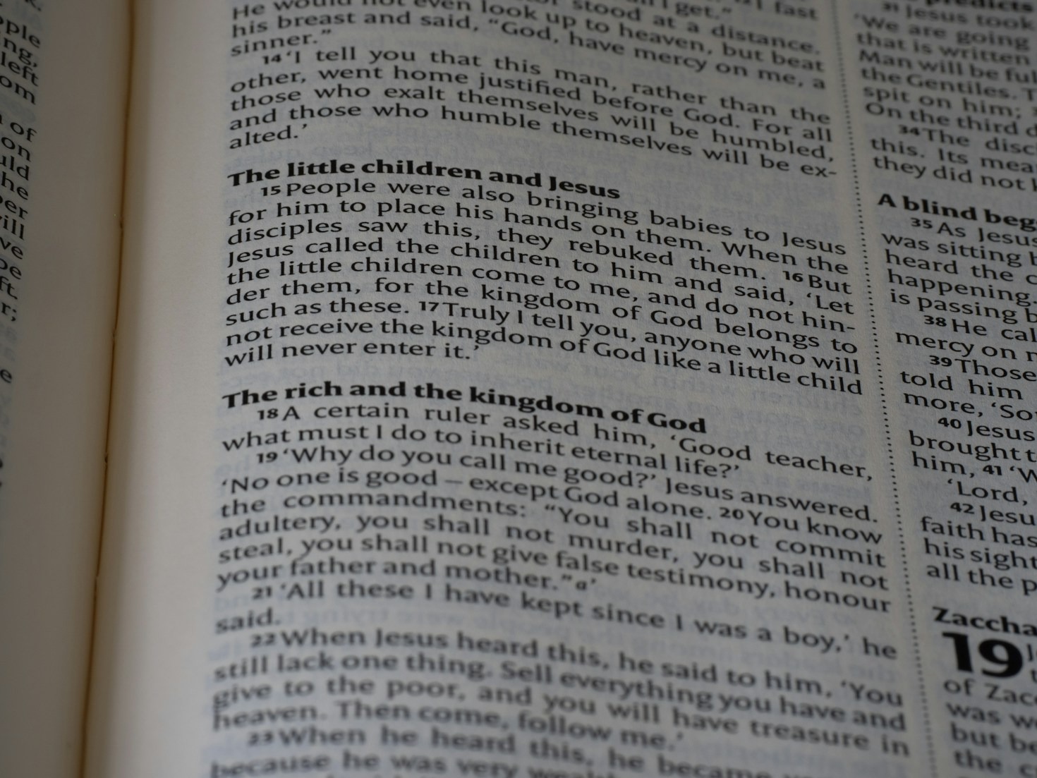 The Fun in Knowing Both Useful and Useless Trivia