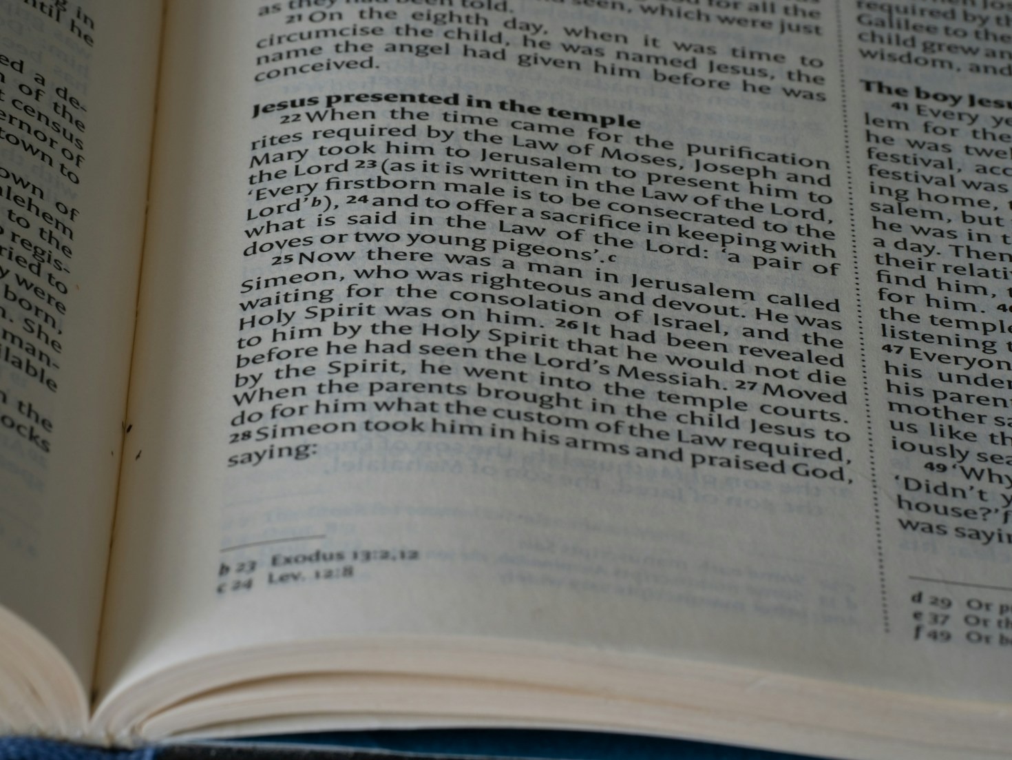 Building an Archive of Odd and Wonderful Insights